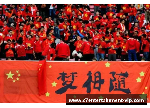 湖北足协球员的非凡征程