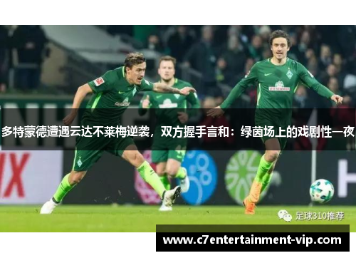 多特蒙德遭遇云达不莱梅逆袭，双方握手言和：绿茵场上的戏剧性一夜